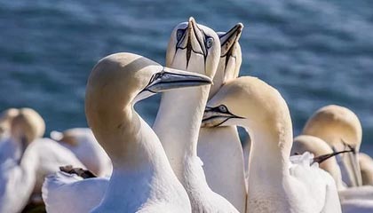 2场季前赛暴露致命隐患!曼联新帅战术遭质疑,三前锋真能拯救红魔